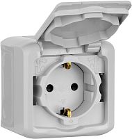 Розетка с заземлением накладная Legrand Quteo 1-м. крышка шторки IP44 серый картинка